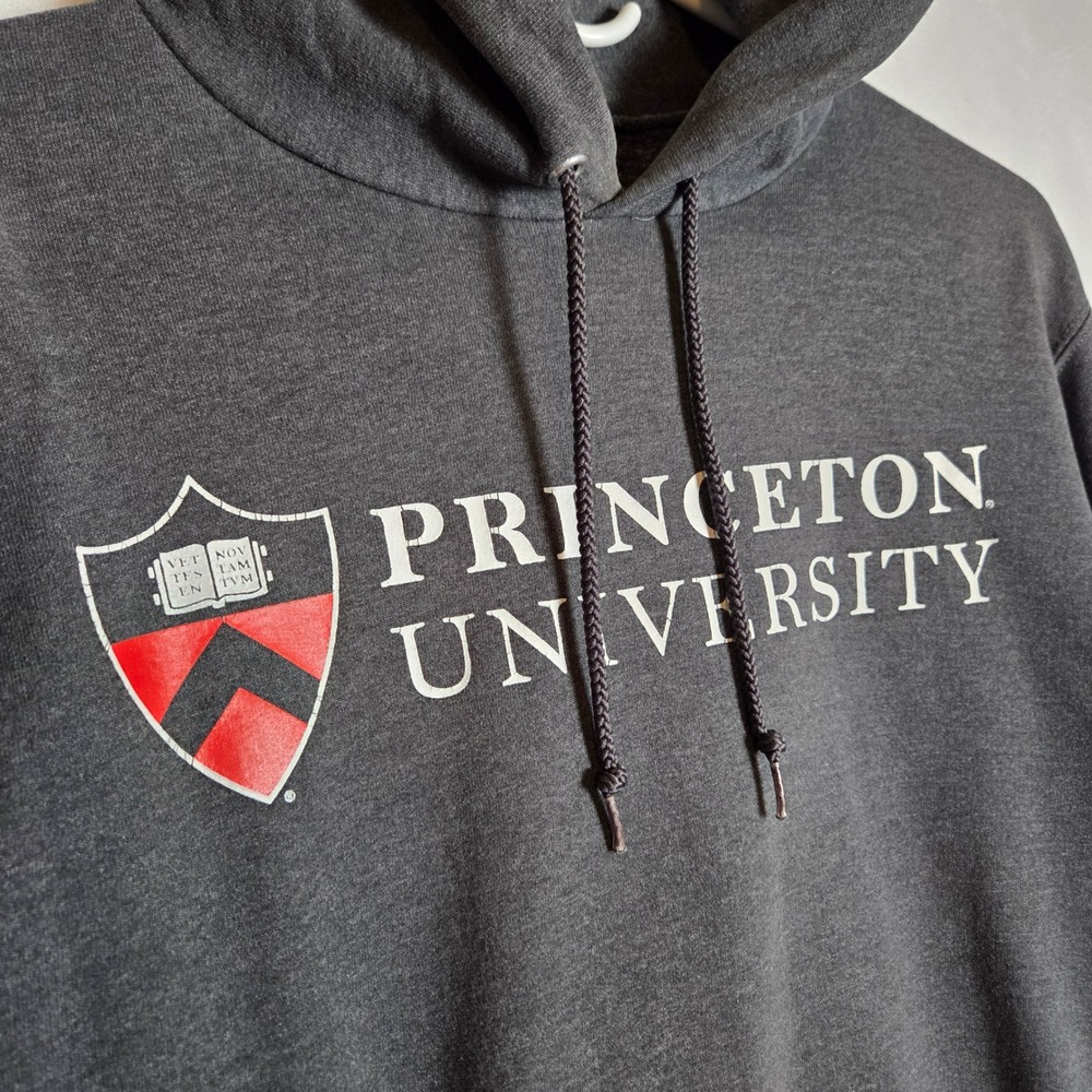 Princeton University Champion Hoodie Unisex Size S Gray Collegiate Streetwear